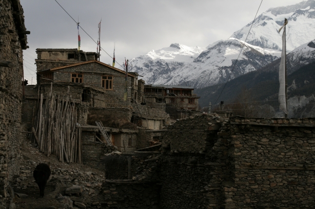 manang 2