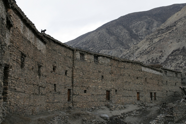 manang 7
