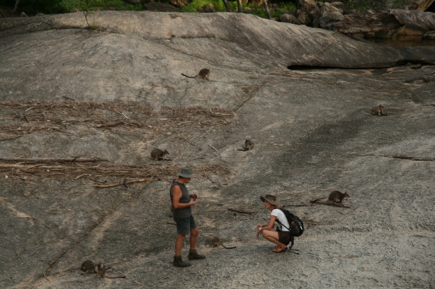 9 Kangury w Granit Gorge