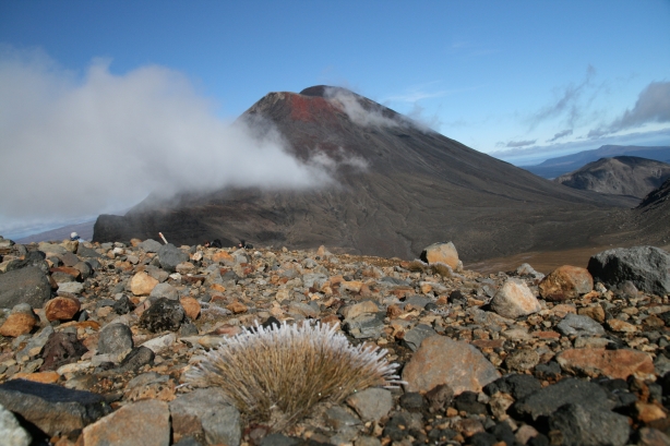 1 Tongarino Alpine Crossing.