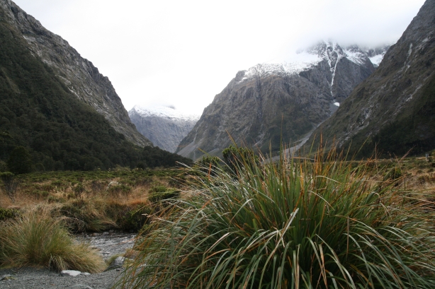 8 Fiordland.