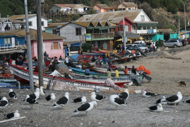 8 Horcón