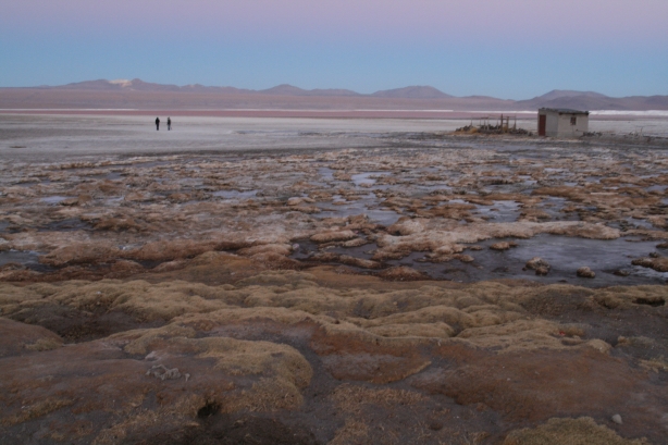 19 Laguna Colorada o zachodzie słońca.