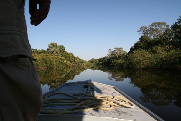 6 Wodne safari na Rio Miranda.