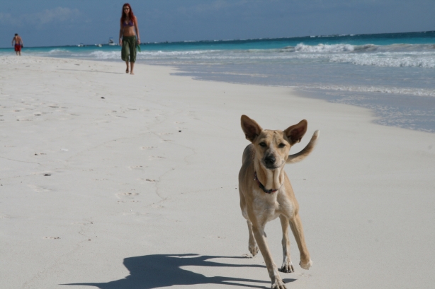 Rajskie plaże w Tulum.